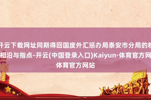开云下载网址同期得回国度外汇惩办局泰安市分局的粗犷相沿与指点-开云(中国登录入口)Kaiyun·体育官方网站