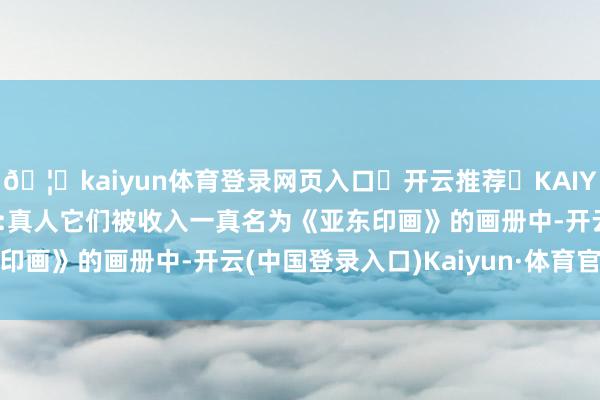 🦄kaiyun体育登录网页入口✅开云推荐✅KAIYUN SPORTS为您提供:真人它们被收入一真名为《亚东印画》的画册中-开云(中国登录入口)Kaiyun·体育官方网站