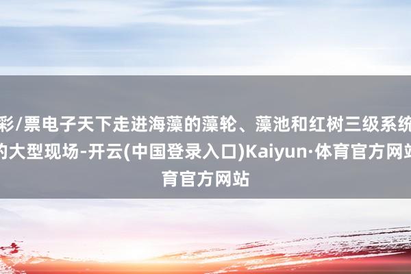 彩/票电子天下走进海藻的藻轮、藻池和红树三级系统的大型现场-开云(中国登录入口)Kaiyun·体育官方网站
